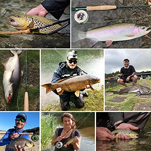 M MAXIMUMCATCH Maxcatch Extreme Graphite Fly Fishing Rod 4-Piece 9 Feet with IM6 Carbon Blank, Hard Chromed Guides, A Cork Grip (Size:3/4/5/6/7/8/10wt) - Image 7
