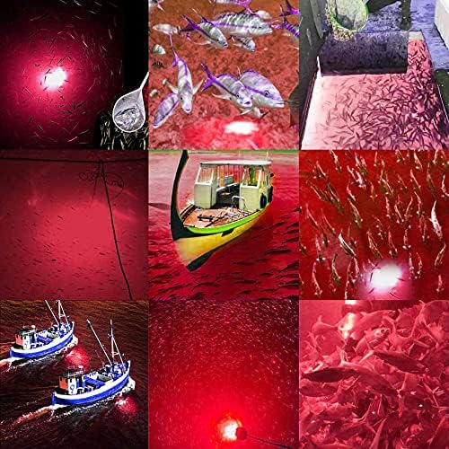 SAMDO IP68 12V LED Underwater Fishing Light 1080 Lumens Fish Attracting Light, Night Fishing Light 10.8W - Image 4